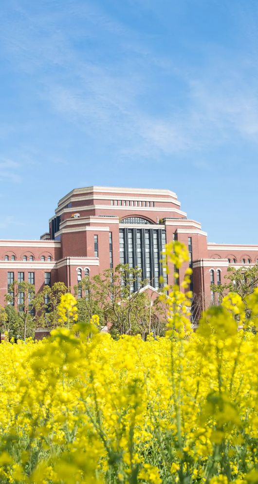 上海建桥学院