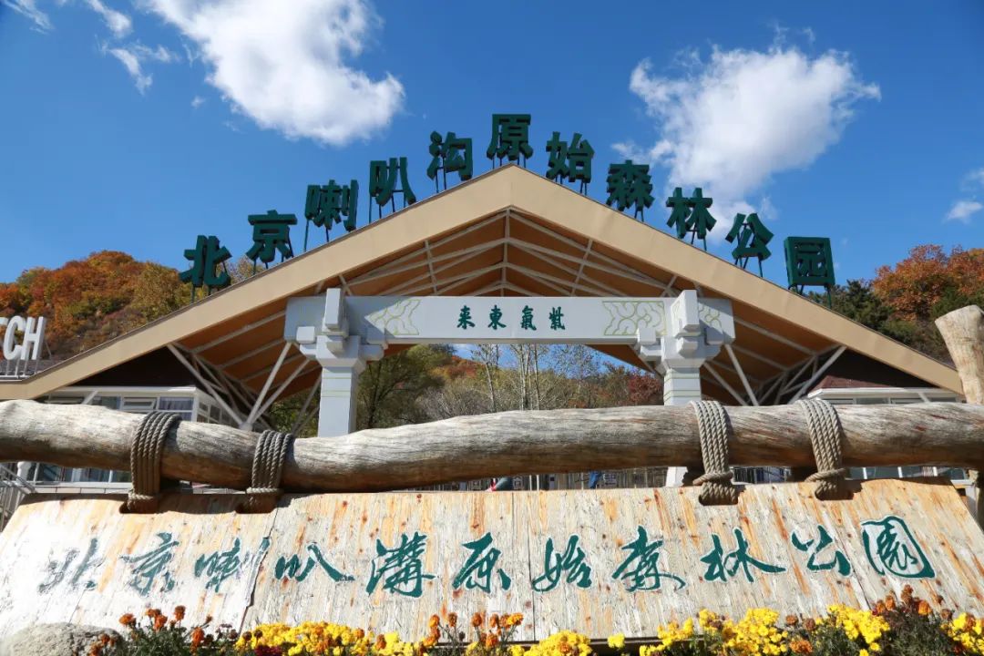 喇叭沟门满族乡原始森林公园景区 怎么去呢?