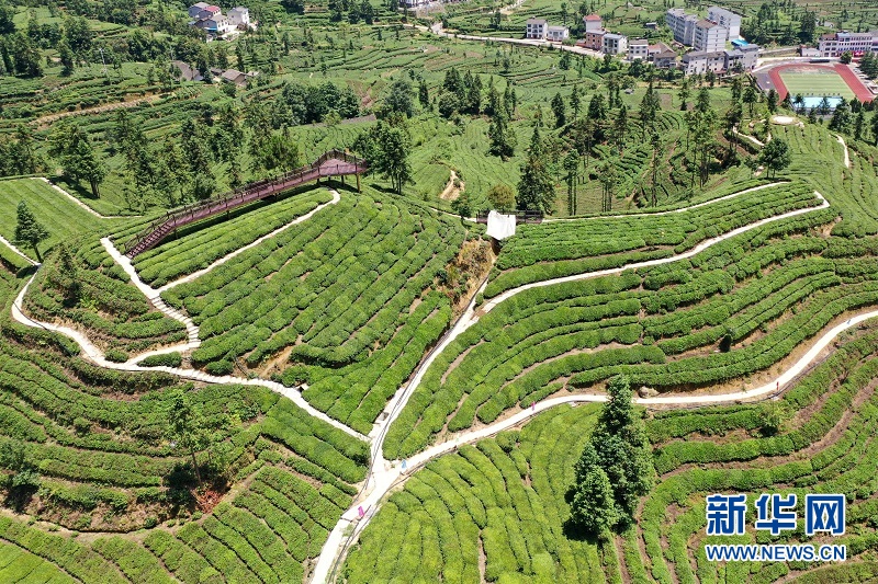 6月30日,在宜昌市夷陵区邓村乡拍摄的"茶旅小镇"风景.