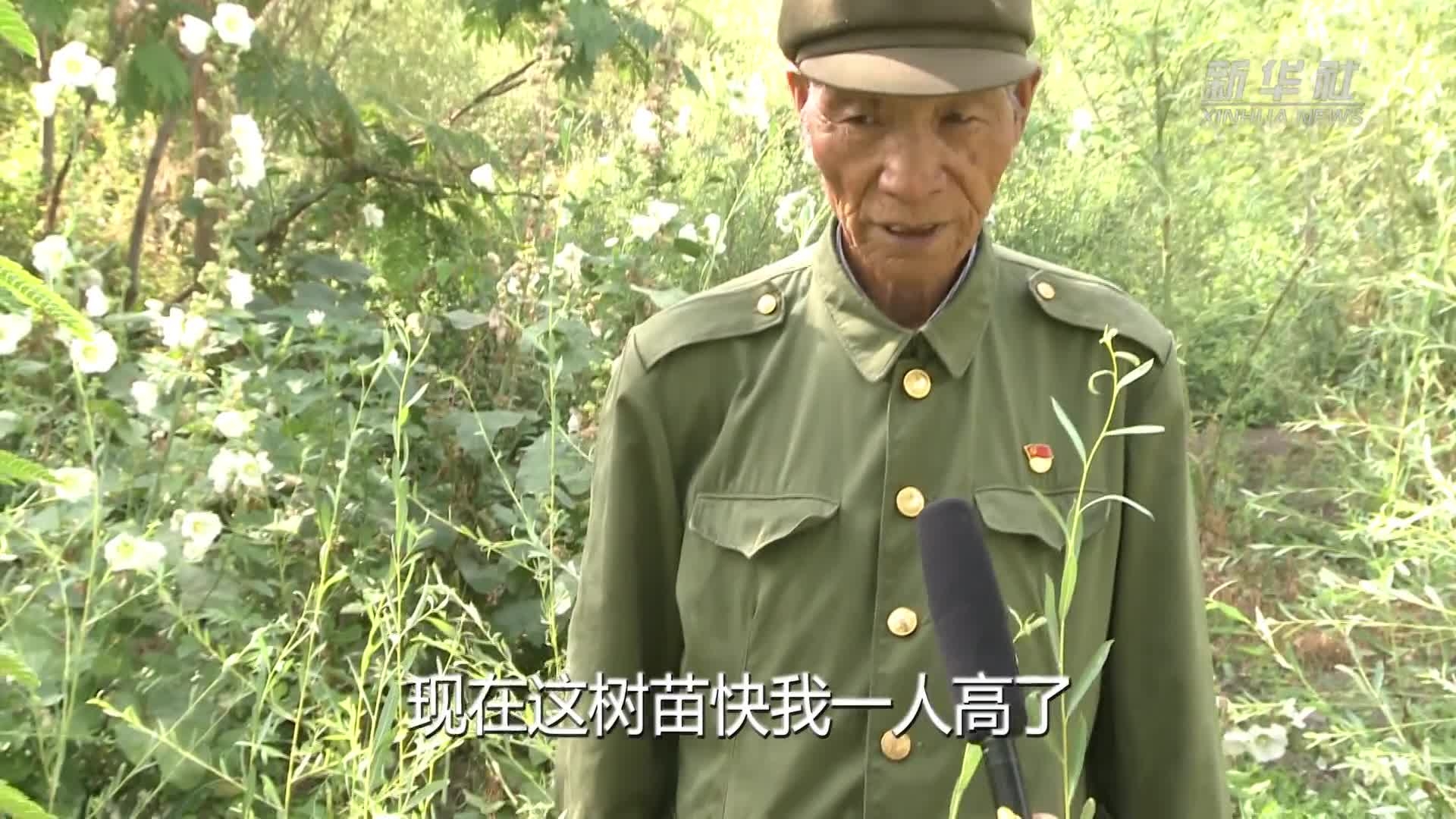 老兵王成帮和百万棵树
