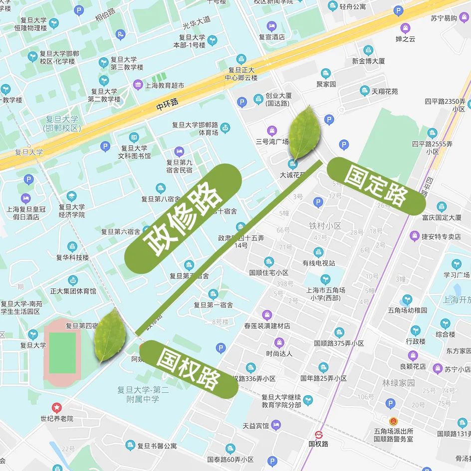 树种:香樟 南淀浦河路(闵宅泾—南菁园3号门 松江区 龙源路(文翔路