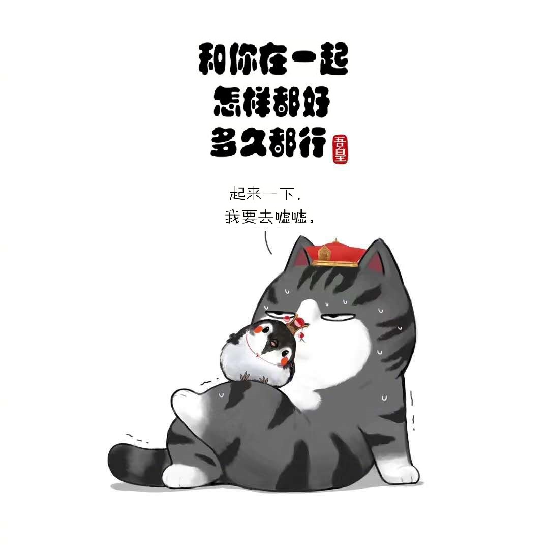 【吾皇巴扎黑】白茶最新漫画连载上新了!每周三"巡游"