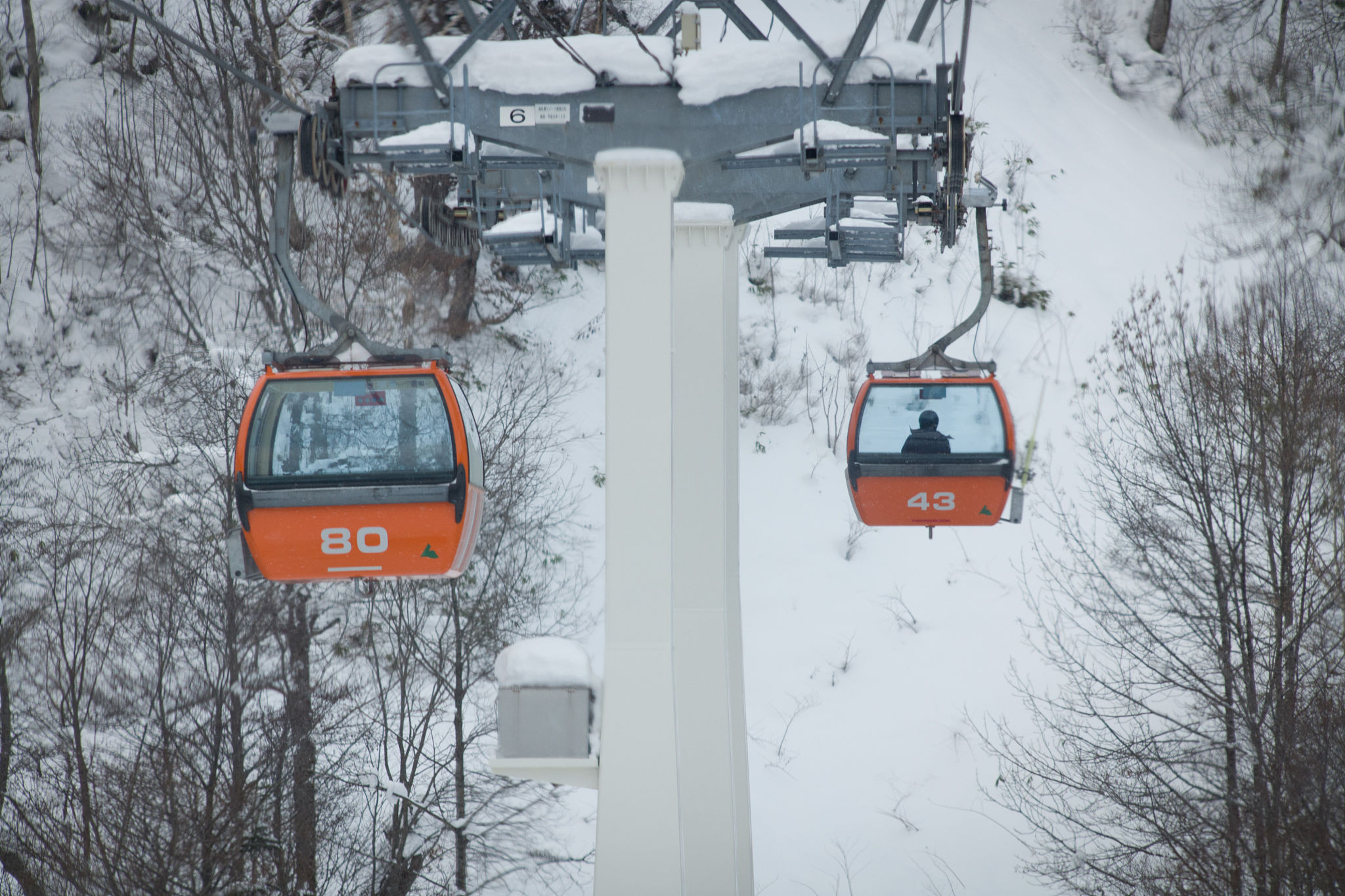 札幌国际滑雪场,是日本北海道著名的滑雪场之一,以林间滑道的独特特点