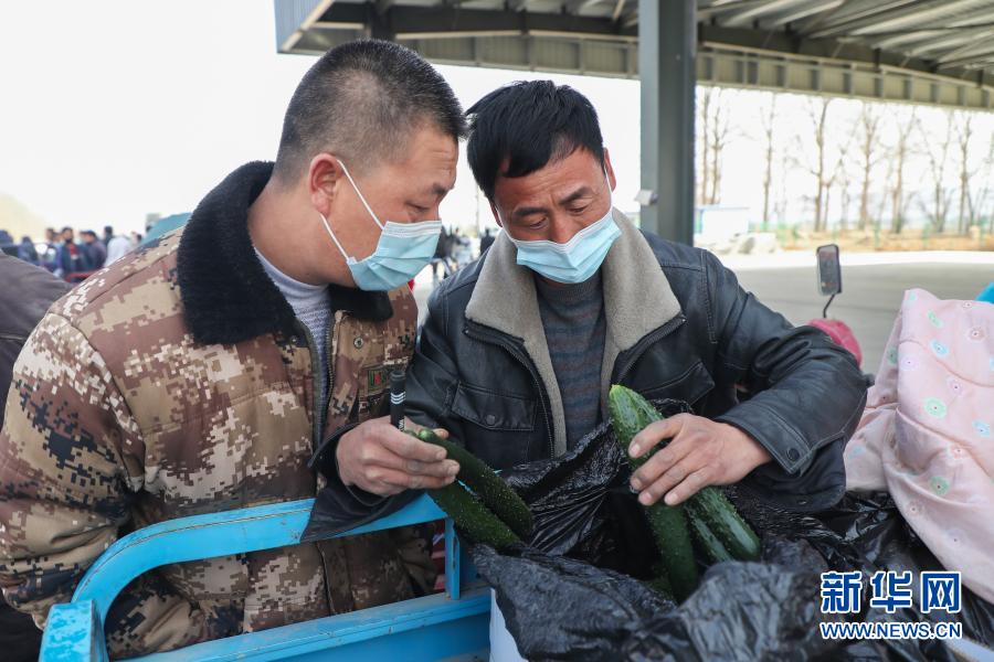 2月4日,在靖远县北湾镇新坪村农贸市场,菜贩胡荣辉(右)查看菜农种植的