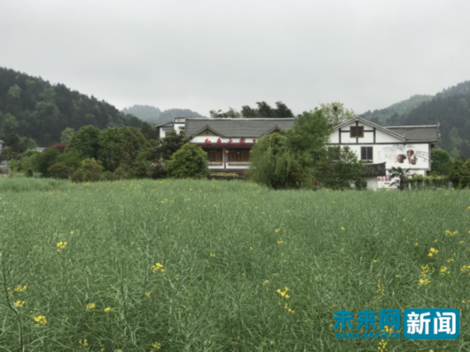 花茂村"红色人家"农家乐(未来网记者 谢青摄)