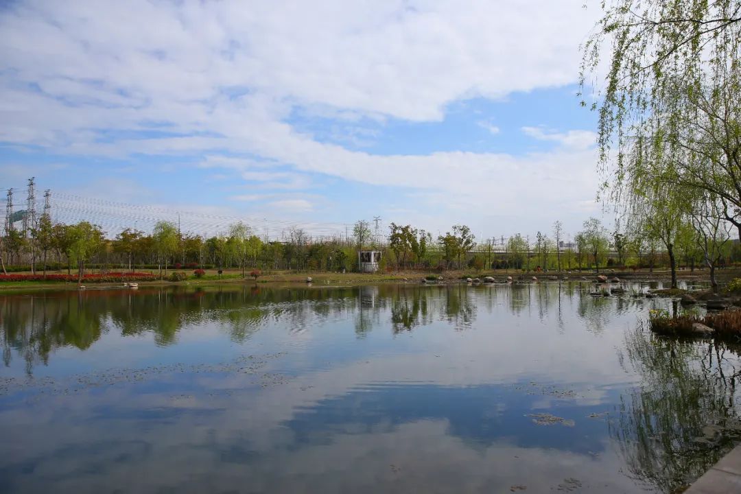 南翔水生态公园移步换景,一年四季有不同的美,而且现在人流量不大,人