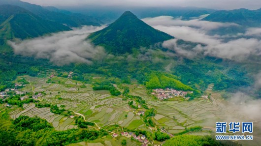 5月22日,航拍旌德县白地镇汪村岭下组高山梯田.