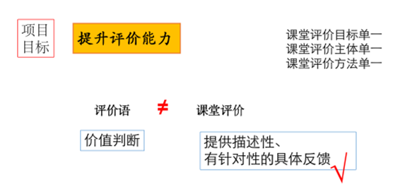 创新性课堂评价的尝试与研究-浦东新区促进学习的评价项目实施总结