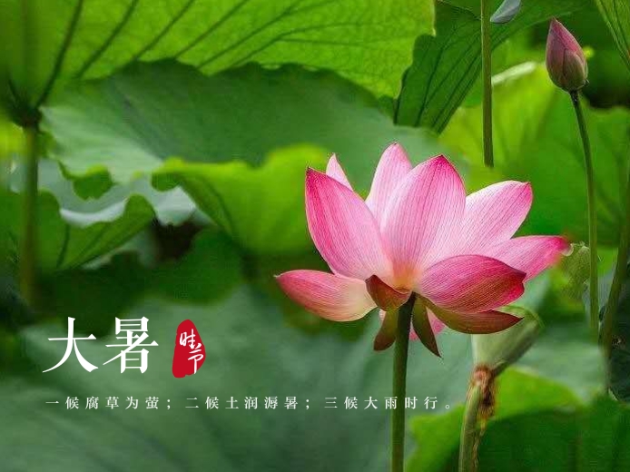图片 今日大暑,台风"烟花"路径未定,上海将迎大风暴雨