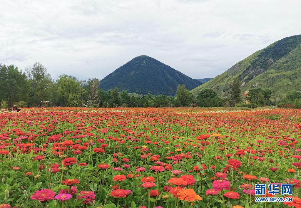 四川康巴高原植物园开园