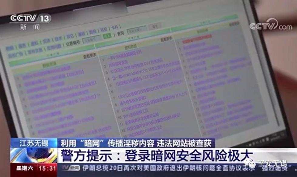 利用暗网传播淫秽内容,会员6万多!男子架设违法网站被