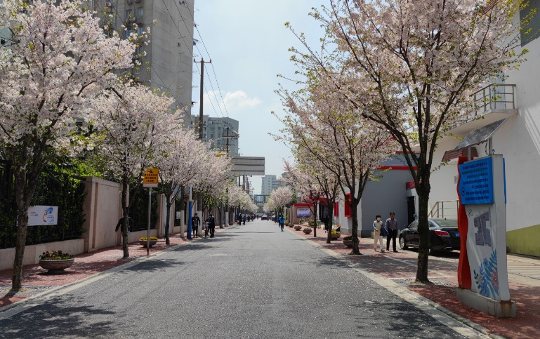 静安区这个街道“一条街”覆盖养老服务打造居民生活“幸福圈”