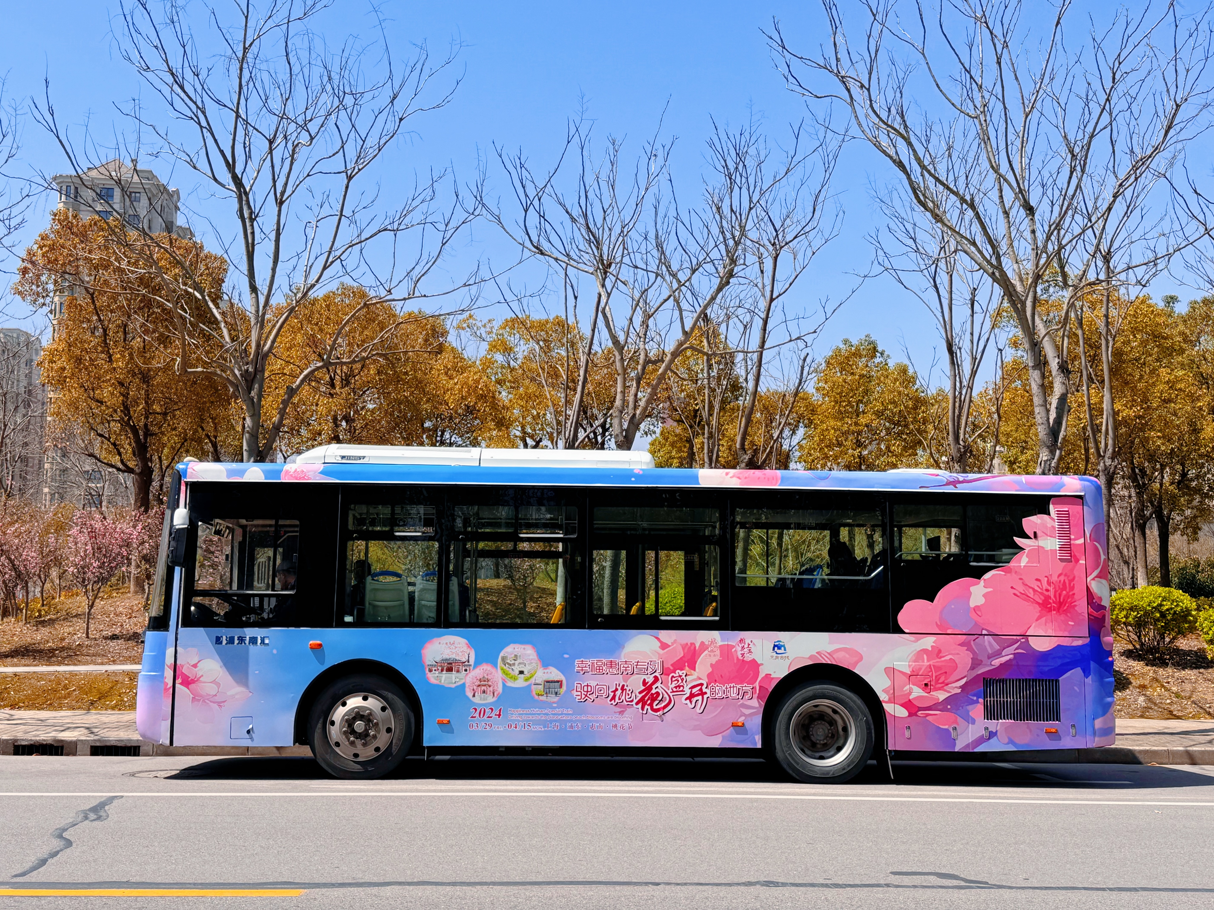 覆盖多个景点、内置方言报站，上海南汇开通“桃花节”定制公交线