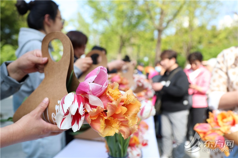 “把春天带回家”，静安雕塑公园免费分发200份郁金香