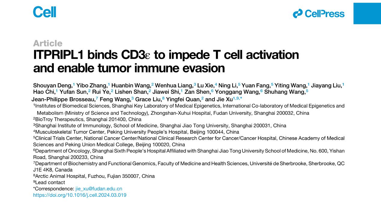 复旦团队Cell刊文：全新靶点CD3L1抗体将助力肿瘤治疗