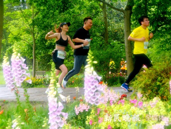 跑在林间花海里2024易跑·森林越野半程马拉松开跑