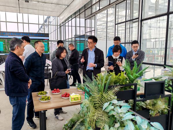 闵行区市场监管局副局长赵卫峰带队到上海正义园艺有限公司进行调研