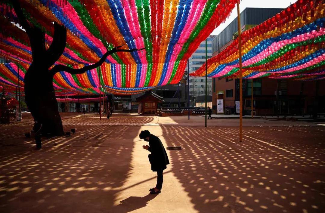 △ 3 月 25 日，在韩国首尔的一座寺庙里，带着口罩的佛教徒在寺庙布置的彩灯下祈祷。图片来源 | 路透社，摄影 | Kim Hong-ji