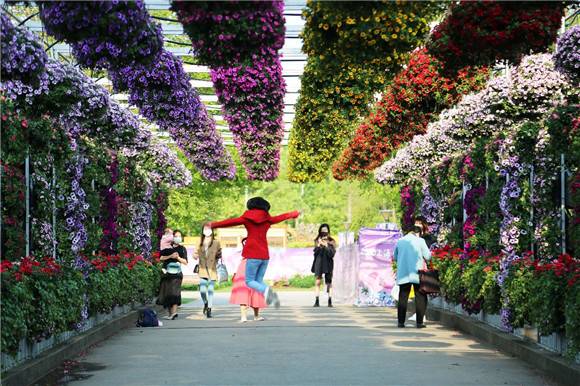 上海 国际 花展首度走进商圈 徐家汇将现300平方米 锦绣 花海