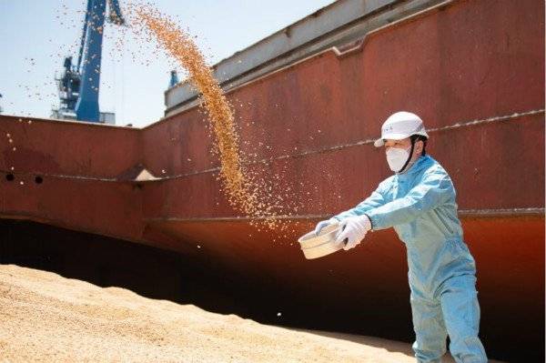 巴西大豆运达上海的港口。图为上海海关官员对大豆进行查验。（来源：上海海关）