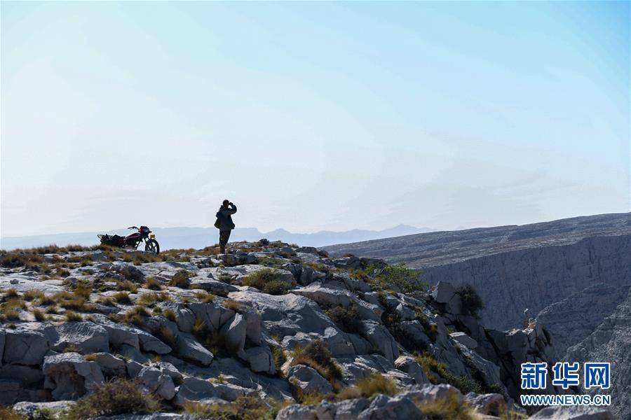 （图片故事）（6）“岩羊爸爸”：在悬崖峭壁间守护山中精灵