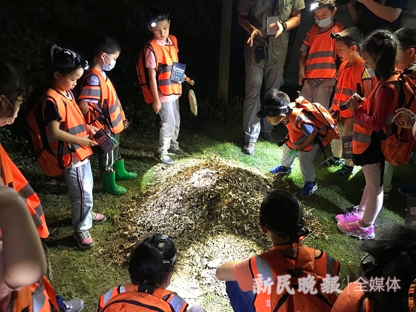 新民晚报|7月连开12场科普夜游，上海世纪公园召唤“夜猫子”出动啦！