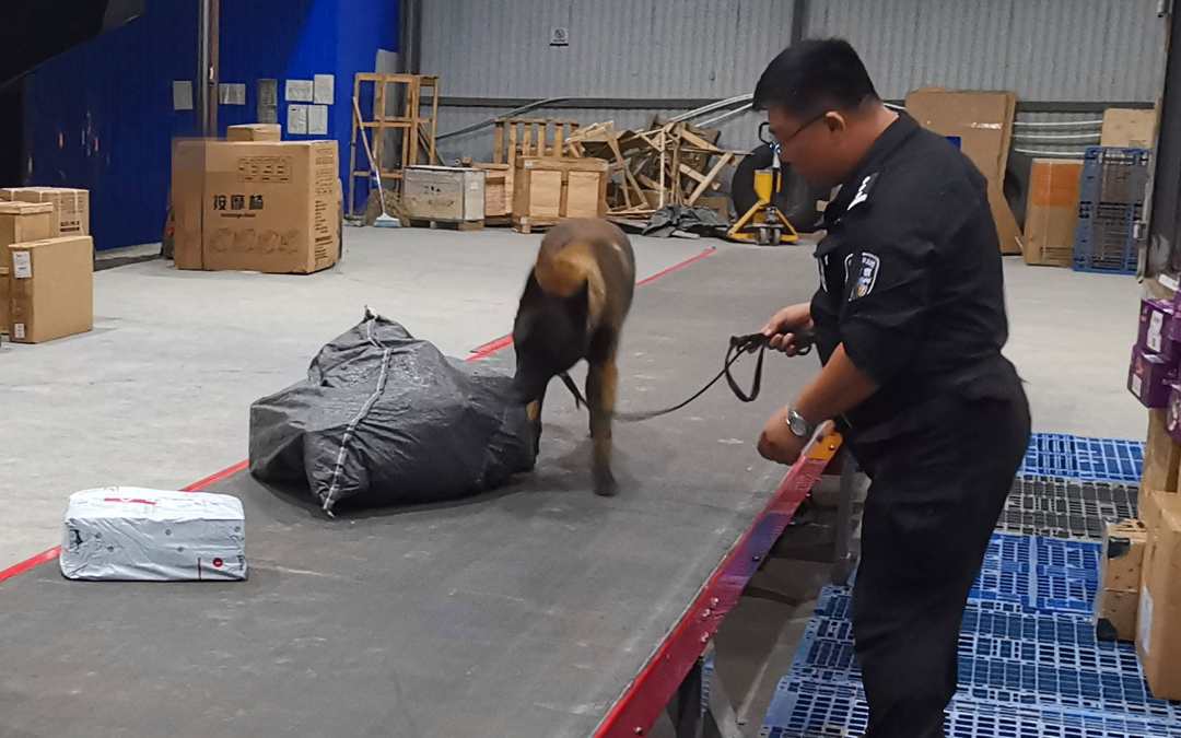 人民日报客户端|警犬边境立功！成功查缉大批电诈工具 ?