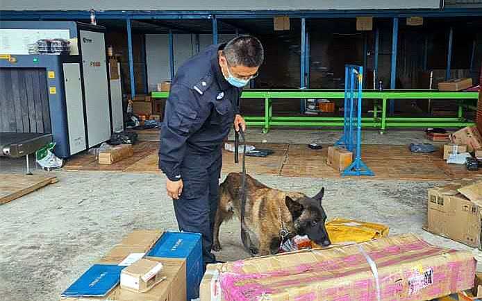 人民日报客户端|警犬边境立功！成功查缉大批电诈工具 ?