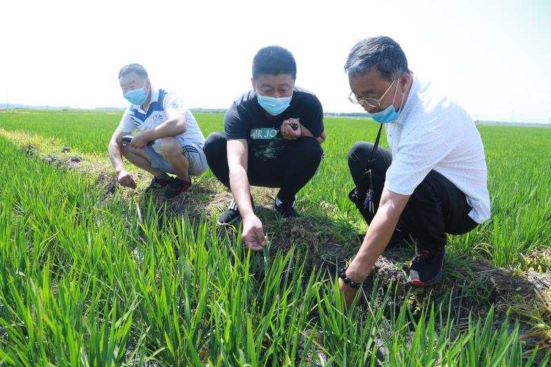 人民日报客户端辽宁频道|“1&#x2B;13”，让空壳村不再空