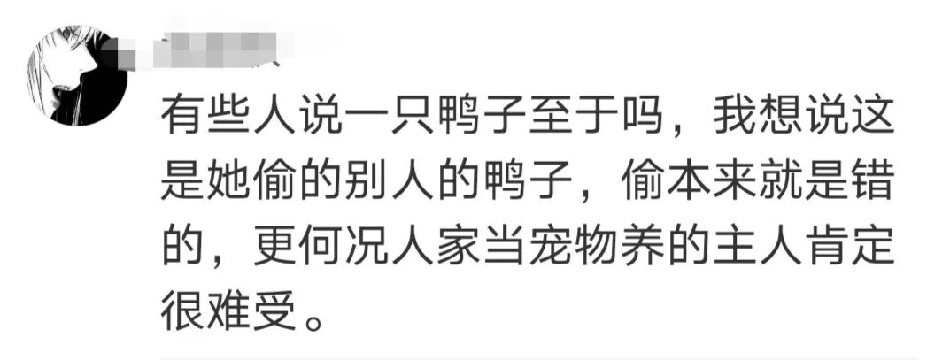 “CCTV今日说法”微信公号|宠物被拎走致死构成犯罪吗？专家释法“王珞丹微博寻宠物鸭”