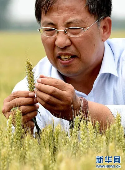 光明网|数据看中国 | 纪录片里的中国农业，看完才知道，满足14亿人口腹之欲是怎样的壮举