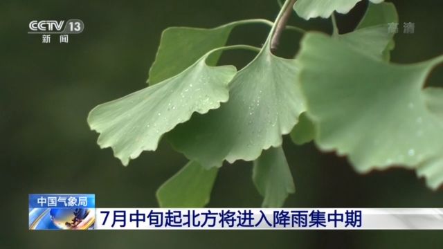 央视新闻客户端|中国气象局：7月中旬起北方将进入降雨集中期