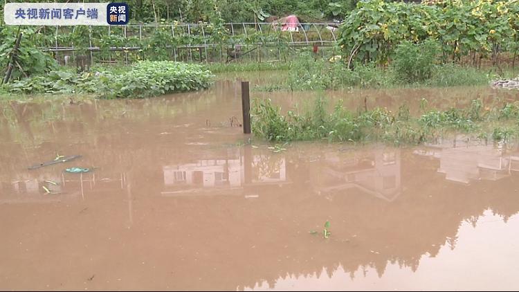 央视新闻客户端|安徽强降雨致河流水位暴涨 农田受淹道路塌方