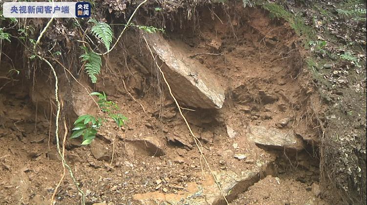 央视新闻客户端|安徽强降雨致河流水位暴涨 农田受淹道路塌方