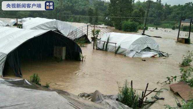 央视新闻客户端|安徽强降雨已致6市25县发生洪涝灾害 受灾人口25.1万人