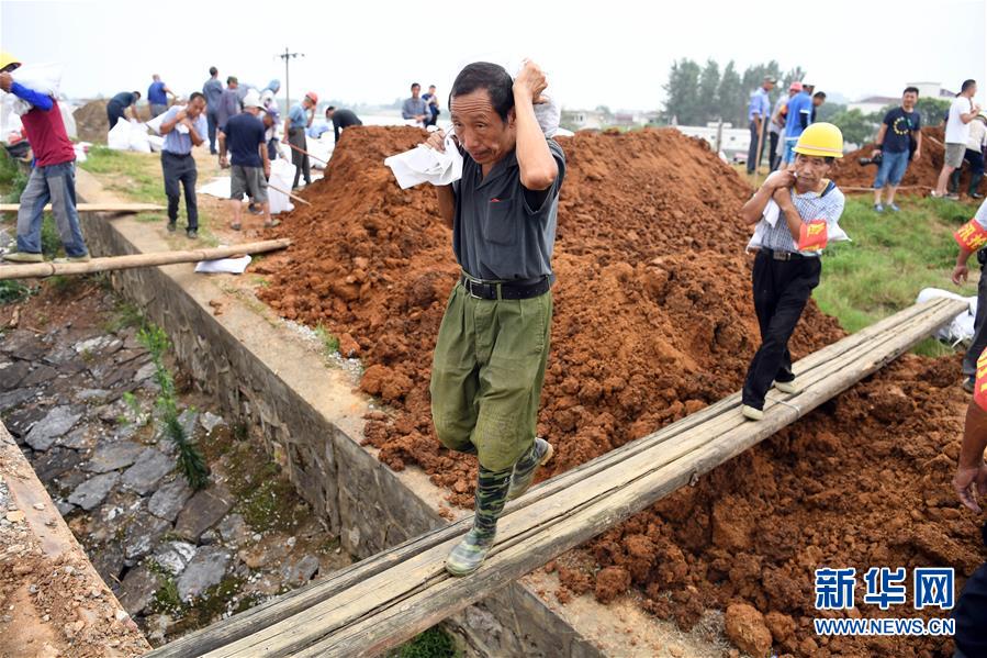 近日,受洪水影響,安徽省望江縣華陽鎮境內的江調圩內部道路漫水,搶險