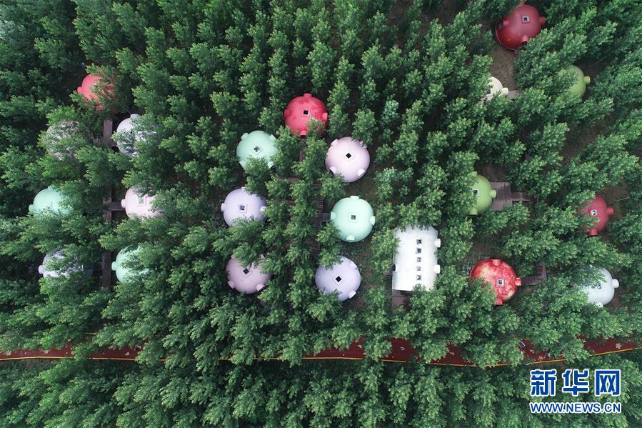 新华网|飞岭村：一个小山村的华丽转身