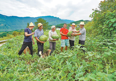 人民日报|人民日报关注丰都脱贫决胜：干部带好头 村民跟着走