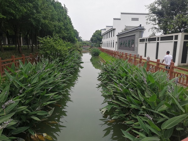 新民晚报|夏令热线丨现场目击 昔日“化工重灾区” 今成美丽生态镇