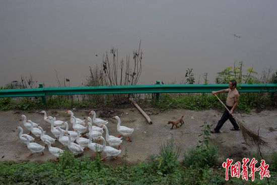 中国青年报|在蓄洪区 等洪水退去