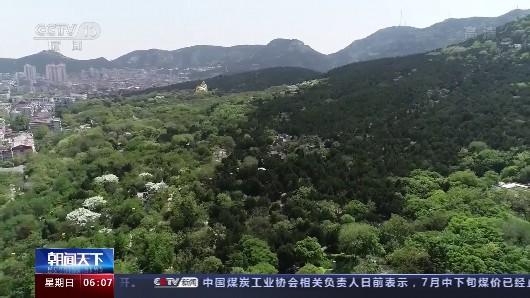 央视网|趵突泉、千佛山等票价五折 还有景区免票 这个暑期又多了心动去处