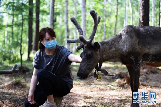 新华网|走向我们的小康生活｜走出山林奔小康——鄂温克族迎来新生活