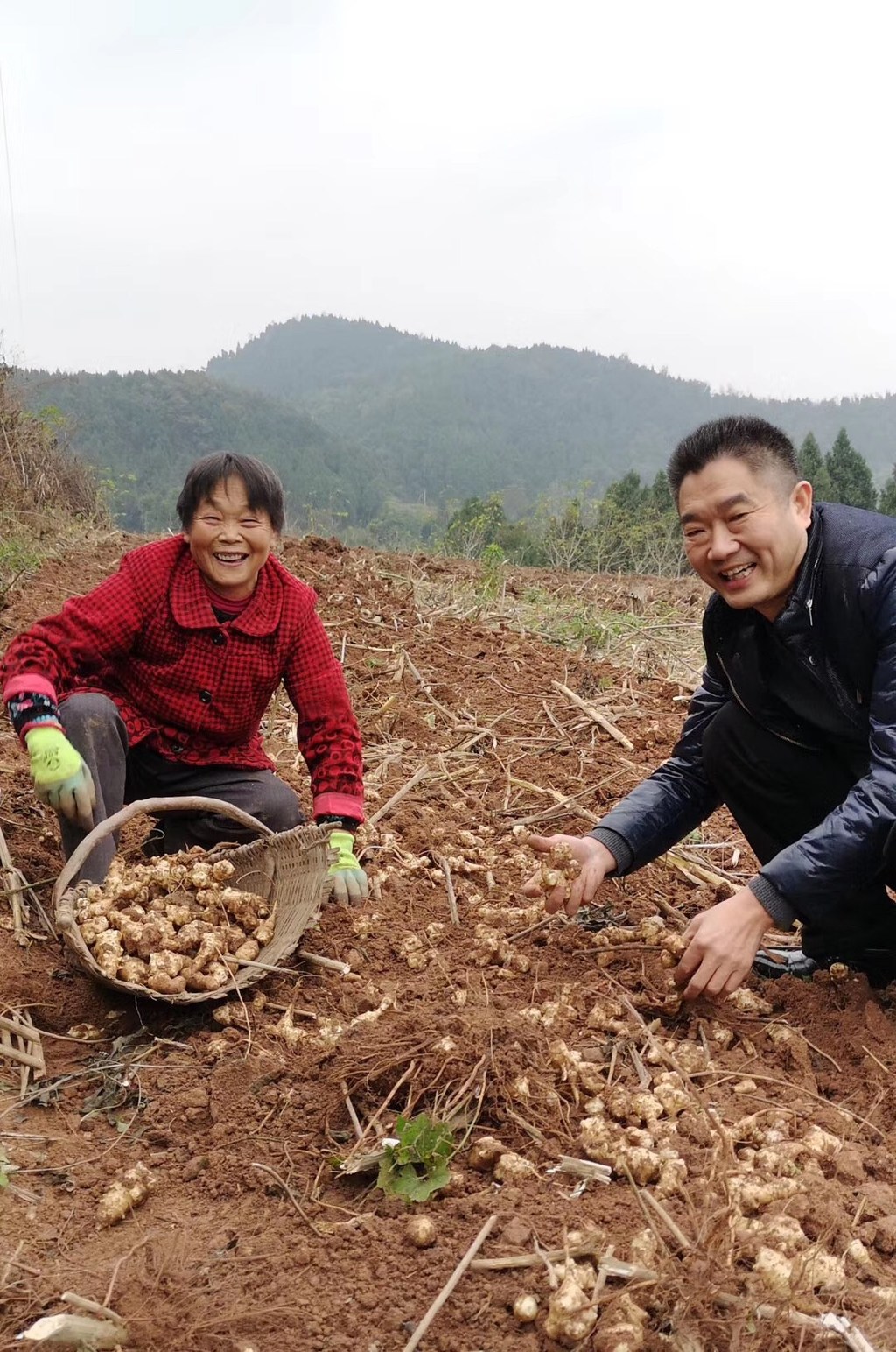 川报观察|脱贫攻坚 榜样力量 | “斜杠中年”的乡村“致富经”