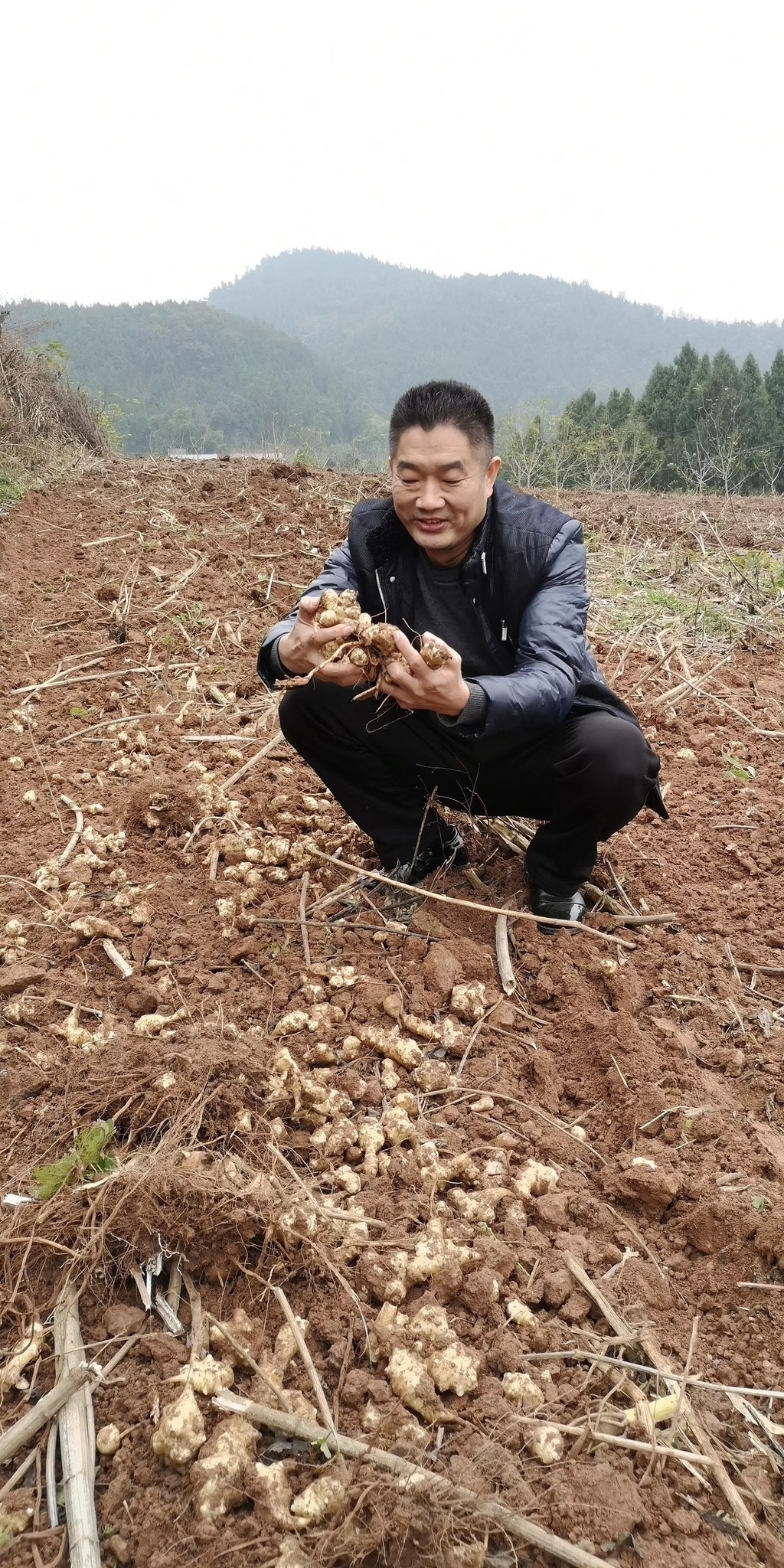 川报观察|脱贫攻坚 榜样力量 | “斜杠中年”的乡村“致富经”