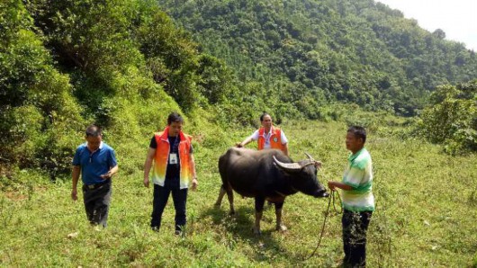 人民日报客户端|广西博白“一户一策”让未脱贫劳动力转移就业