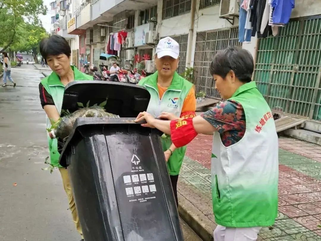 东方网|街头巷口、社区内外、房前屋后......青浦2万余名党员奋战“创全”第一线