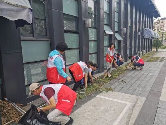 东方网|街头巷口、社区内外、房前屋后......青浦2万余名党员奋战“创全”第一线