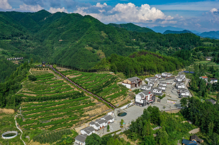 镜观百县千村行:万源市石塘镇瓦子坪村