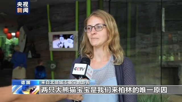 央视新闻客户端|旅美大熊猫成功产崽&#xA0;美国民众：黑暗中唯一的好消息