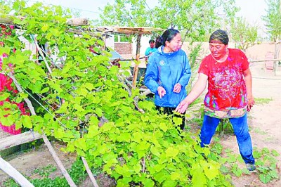 光明网|建个好支部 助民奔小康——新疆维吾尔自治区托里县加玛特村的脱贫之路